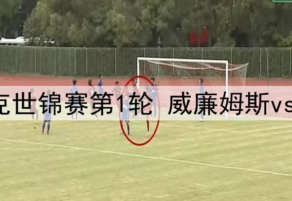 2025年4月20日 斯诺克世锦赛第1轮 威廉姆斯vs吴宜泽 全场录像回放